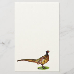 Ringnacken Pheasant Tupp Brevpapper