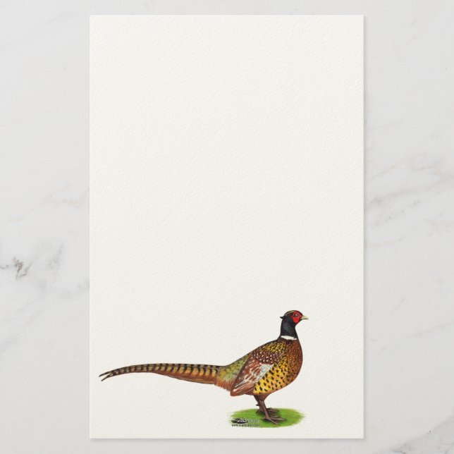 Ringnacken Pheasant Tupp Brevpapper (Framsida)