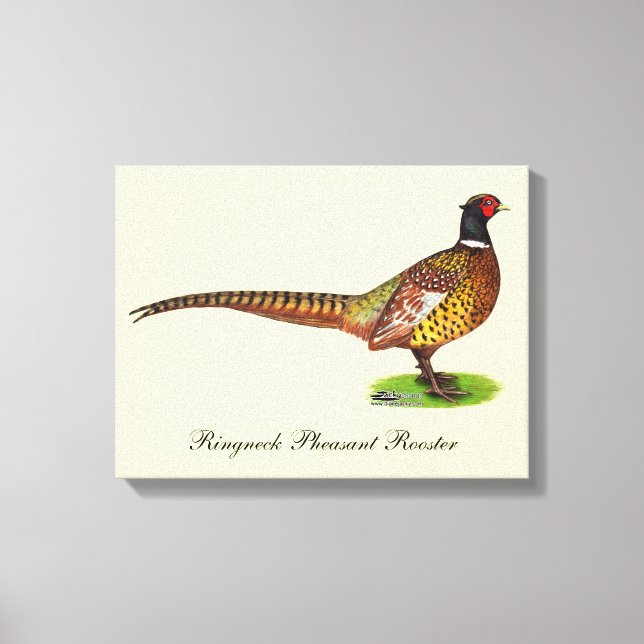 Ringnacken Pheasant Tupp Canvastryck (Framsida)