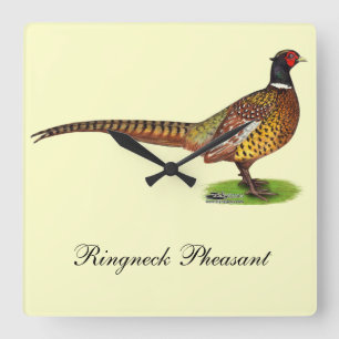 Ringnacken Pheasant Tupp Fyrkantig Klocka