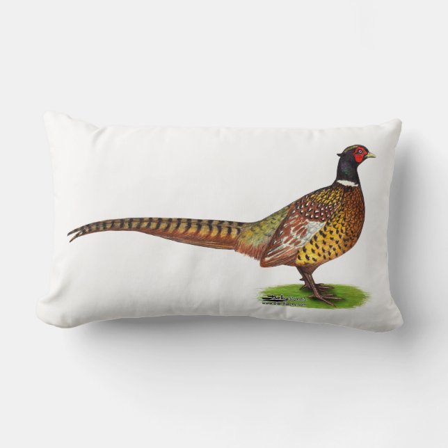 Ringnacken Pheasant Tupp Lumbarkudde (Framsida)