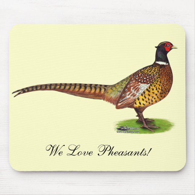 Ringnacken Pheasant Tupp Musmatta (Framsidan)