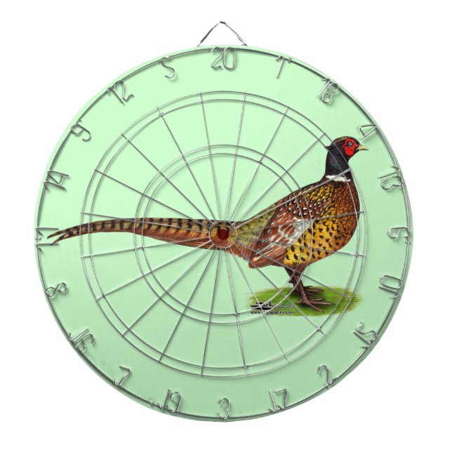 Ringnacken Pheasant Tupp Piltavla (Framsidan)