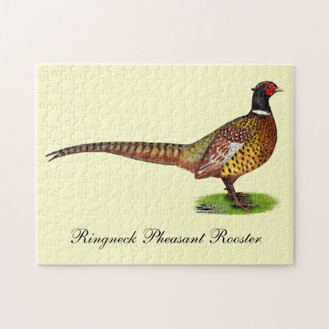 Ringnacken Pheasant Tupp Pussel (Horisontell)
