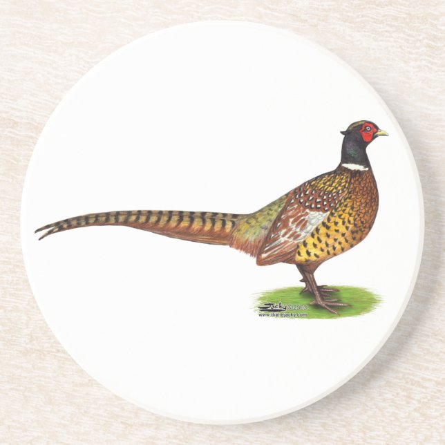 Ringnacken Pheasant Tupp Underlägg (Framsidan)