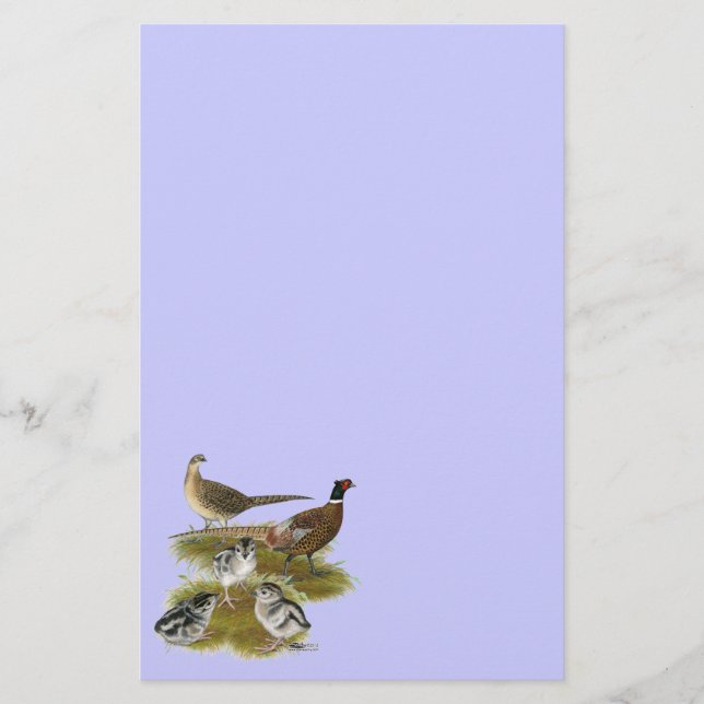 Ringneck Pheasantfamilj Brevpapper (Framsida)