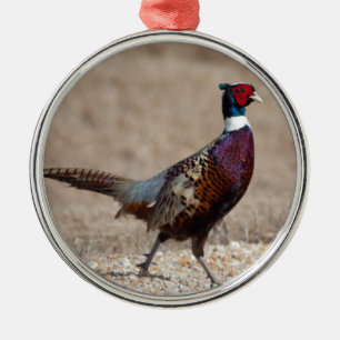 Ringnecked Pheasant Julgransprydnad Metall