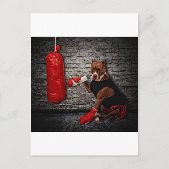 Ringpit Vykort (Framsida)