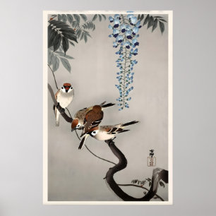 Ringspettar på Wisteria Japansk Finkonsttryck Poster