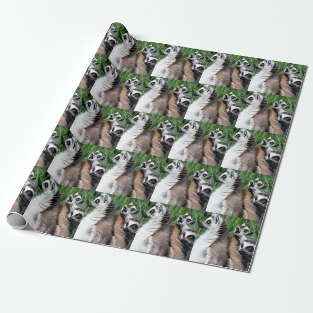 Ringstjärtad Lemur Familj Presentpapper (Utrullad)