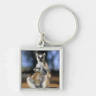 Ringstjärtad maki, (Lemur catta), Mor och Fyrkantig Silverfärgad Nyckelring