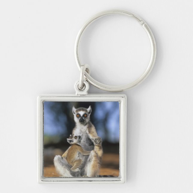 Ringstjärtad maki, (Lemur catta), Mor och Fyrkantig Silverfärgad Nyckelring (Framsidan)