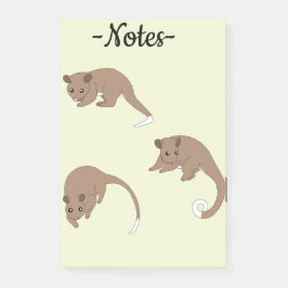 Ringsvansad possum post-it block