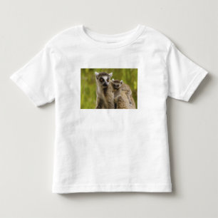 Ringsvanslemurer (Lemur catta) Mor & unge. T Shirt