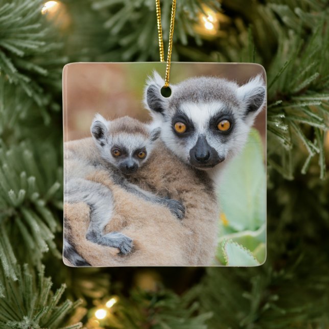 Ringtailad lemurbebis på mammans rygg julgransprydnad keramik (Träd)