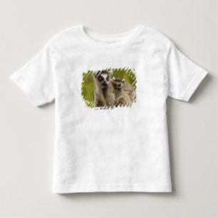Ringtailade lemurer (Lemur catta) Mor & unge. T-shirt