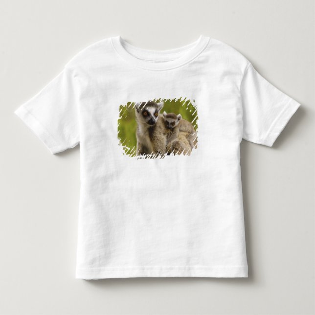 Ringtailade lemurer (Lemur catta) Mor & unge. T-shirt (Framsida)