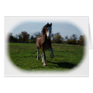 Rinnande Clydesdale Hälsningskort