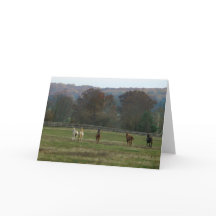 Rinnande hästar, kort