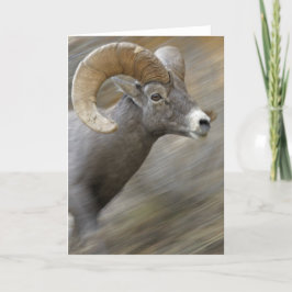 Rinnande öken Bighorn Kort