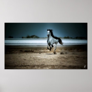 Rinnande vithäst på strand poster