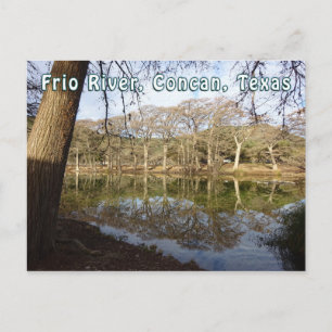 Rio Frio River Concan Texas Garner State Park Träd Vykort
