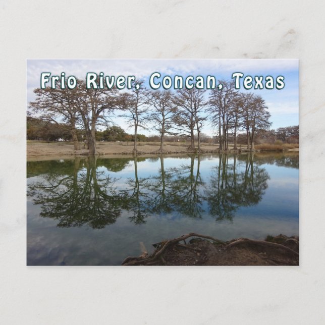 Rio Frio River Concan Texas Garner State Park Vykort (Framsida)