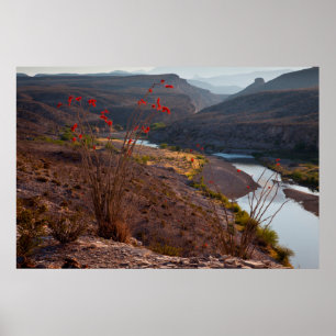 Rio Grande som rinner genom Chihuahuan öknen Poster