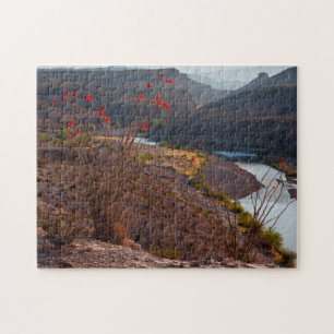 Rio Grande som rinner genom Chihuahuan öknen Pussel
