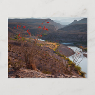 Rio Grande som rinner genom Chihuahuan öknen Vykort