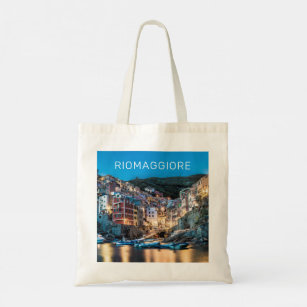 Riomaggiore Cinque Terre La Spezia Italien Panoram Tygkasse