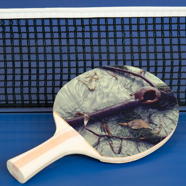 RIP Seaweed  Pingisracket (Insitu)