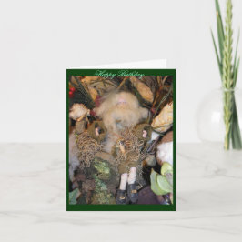 Rip Van Winkle-födelsedagskort Kort