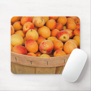 Ripe Apricots in Bushel Basket Musmatta