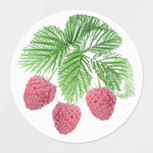 Ripe, bär, hallon klistermärke