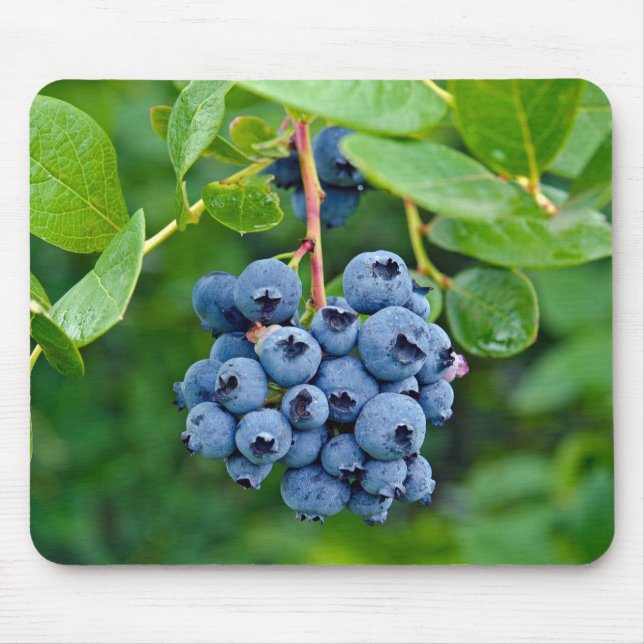 Ripe Blueberry Bush Mouse Pad Musmatta (Framsidan)