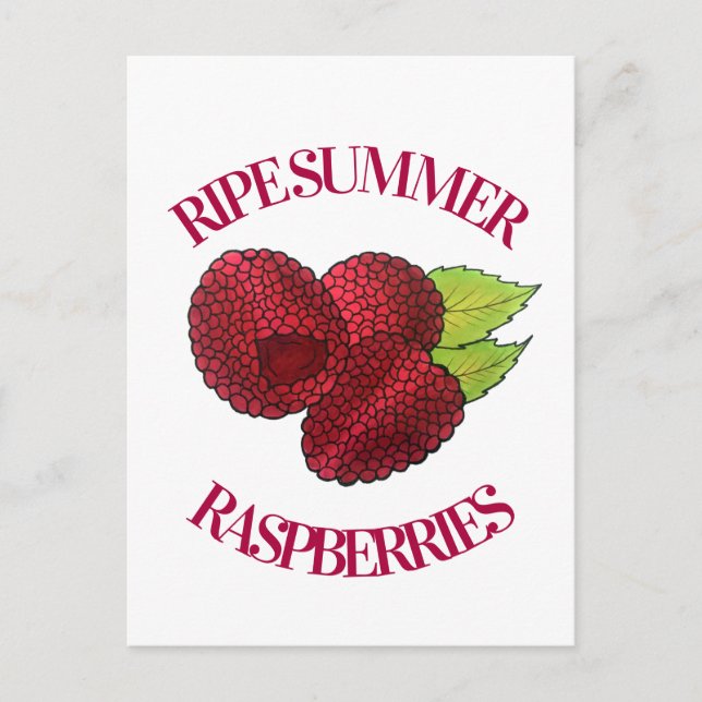 Ripe Fresh Summer Red Raspbär Fruit Berry Vykort (Framsida)