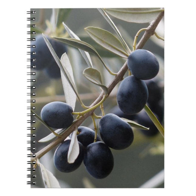Ripe Olife på Olive Träd Gren Anteckningsbok (Framsidan)