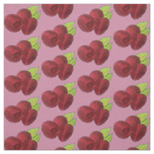 Ripe Raspberry Rasphallon Berry Fruit Berries Tyg