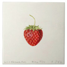 Ripe Red Strawberry (av Louis C.C. Krieger)