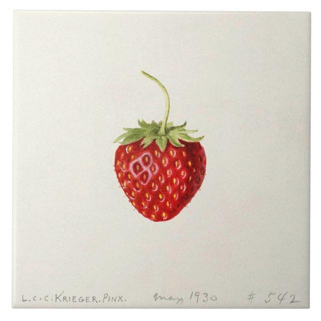 Ripe Red Strawberry (av Louis C.C. Krieger) Kakelplatta (Framsidan)