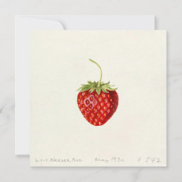 Ripe Red Strawberry (av Louis C.C. Krieger) Kort