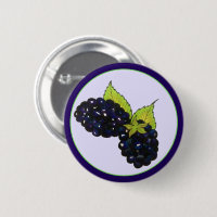 Ripe Summer Blackbär Blackberry Berries