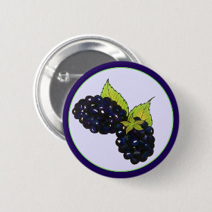 Ripe Summer Blackbär Blackberry Berries Knapp