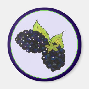 Ripe Summer Blackbär Blackberry Berries Magnet