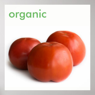 Ripe tomato poster