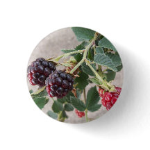 Ripening Blackbär