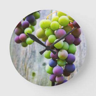 Ripening druvor rund klocka