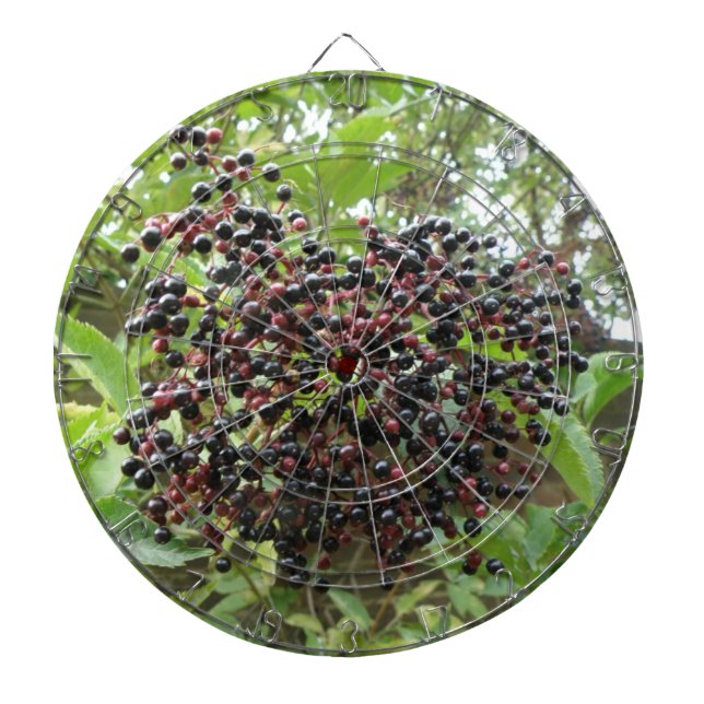 Ripening Elderbär Dart Board Piltavla (Framsidan)