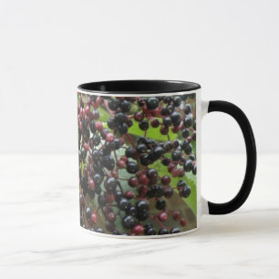 Ripening Elderbär Mugg